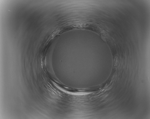 X0000059781202200510281537