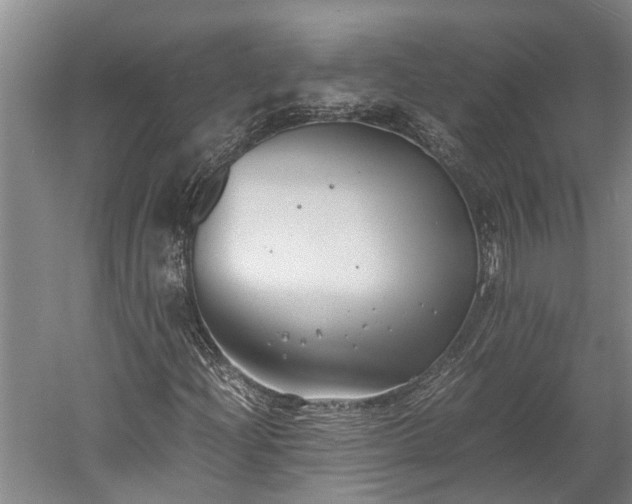 X0000059781204200510281537
