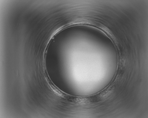 X0000059781242200510281538
