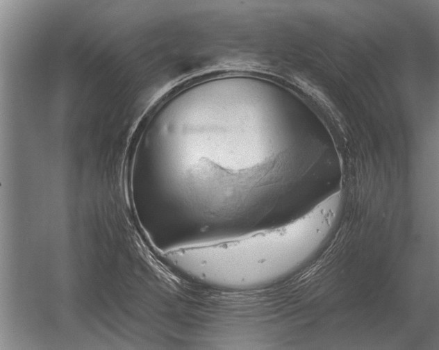 X0000059781272200510281537