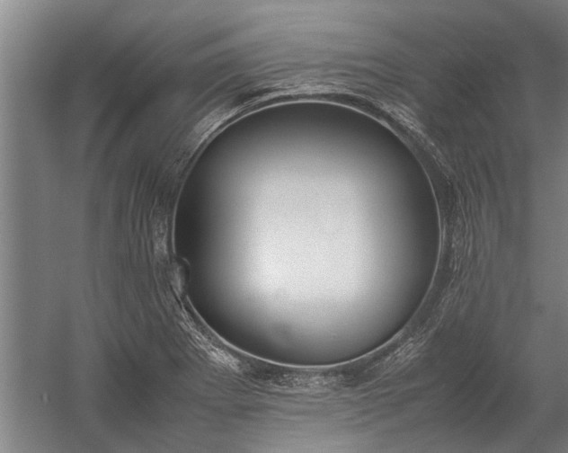 X0000059781273200510281537