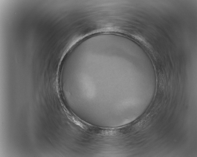 X0000059781278200510281537