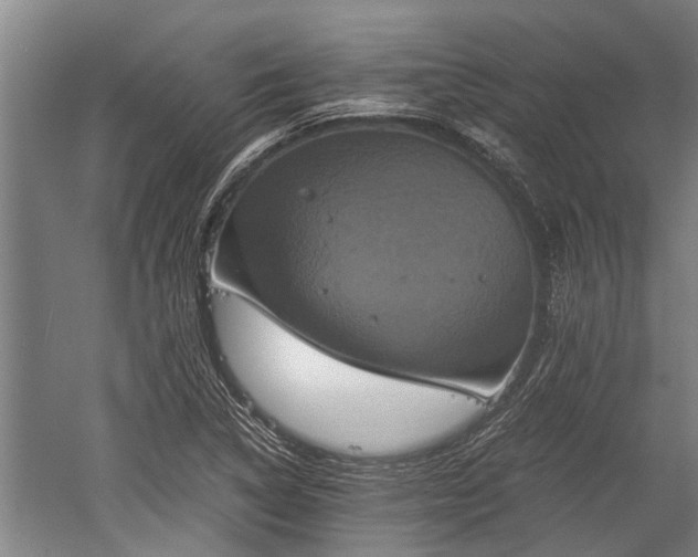 X0000059781314200510281536