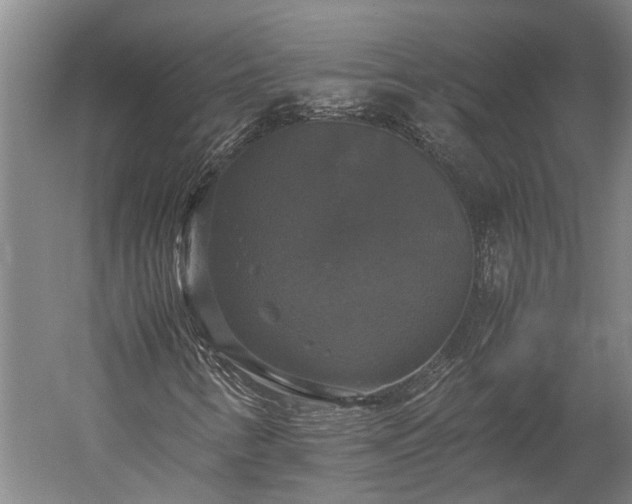 X0000059781346200510281536
