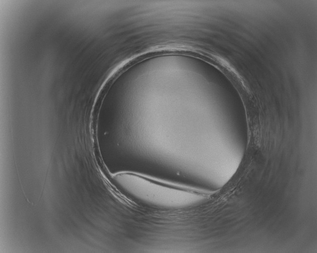 X0000059781372200510281535
