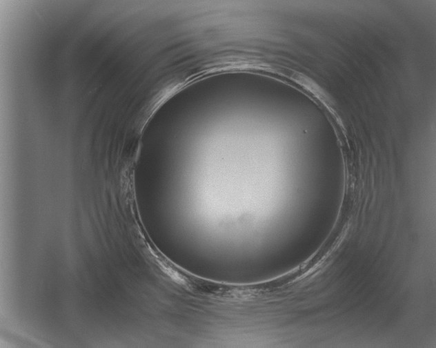 X0000059781385200510281535