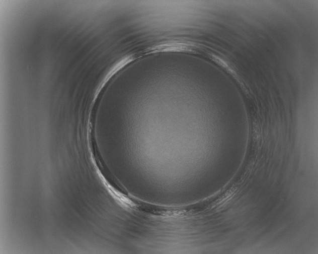 X0000059781426200510281534