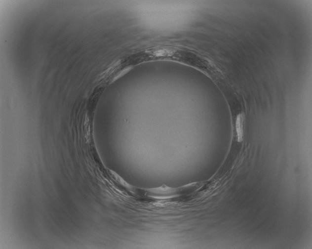 X0000059781443200510281534