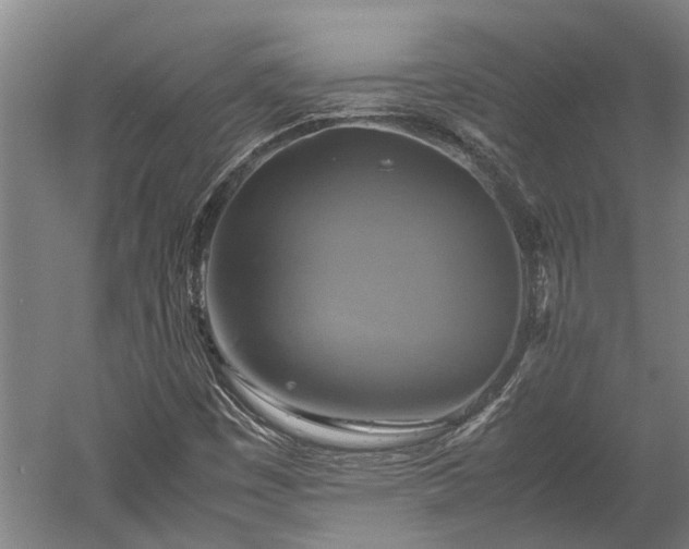 X0000059781449200510281534