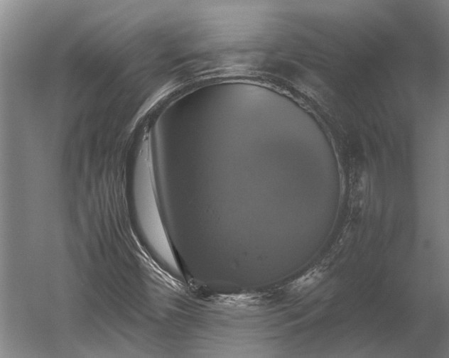 X0000059781450200510281534