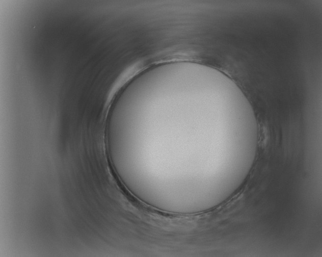 X0000059780004200511041546