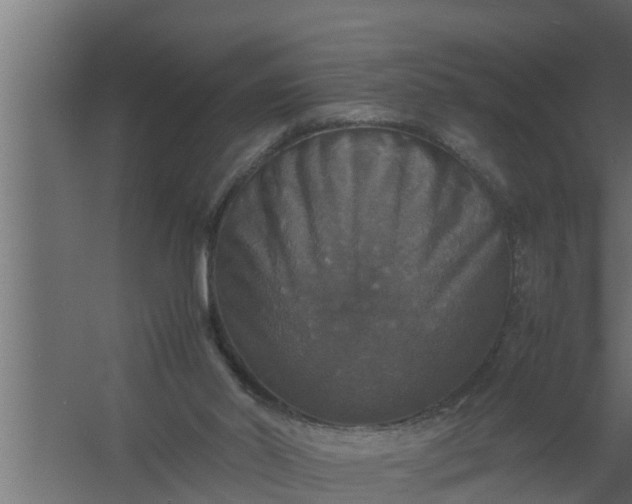 X0000059780014200511041546