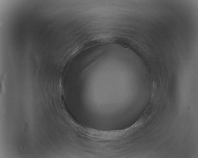 X0000059780048200511041546