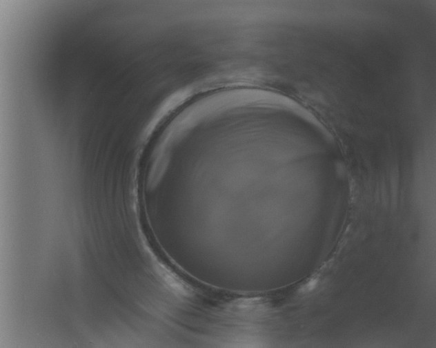 X0000059780054200511041545