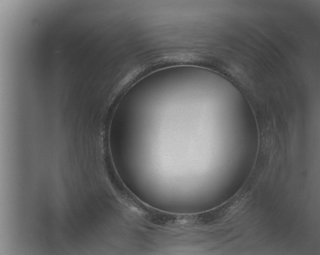 X0000059780111200511041545
