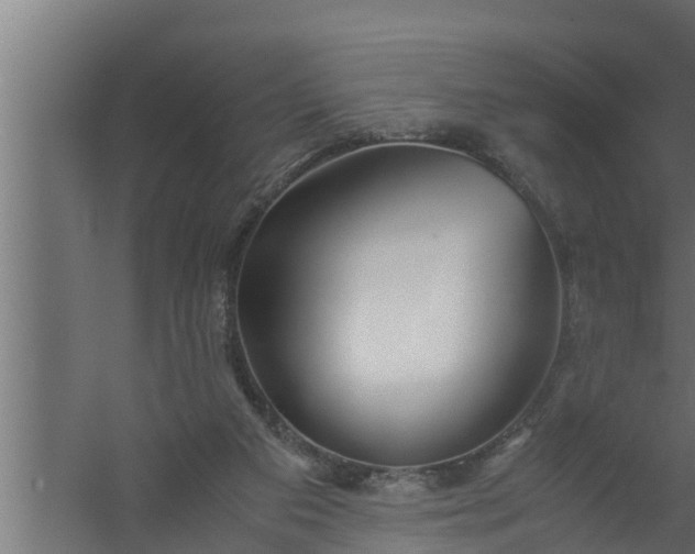 X0000059780113200511041545