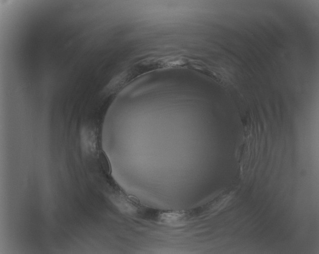 X0000059780139200511041544