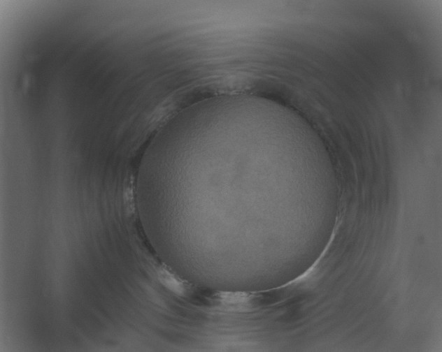 X0000059780144200511041544