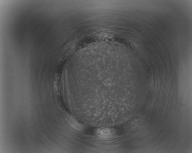 X0000059780181200511041544