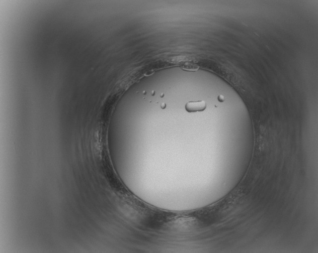 X0000059780210200511041543
