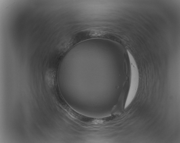 X0000059780227200511041543