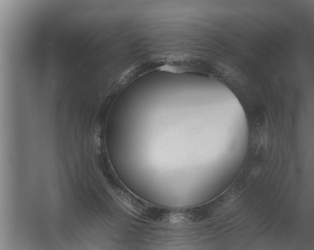 X0000059780264200511041542
