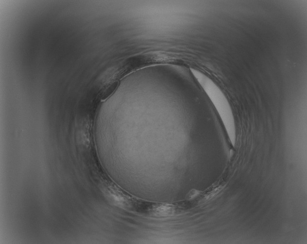 X0000059780325200511041541