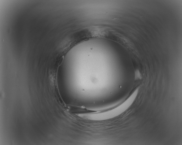 X0000059780329200511041541