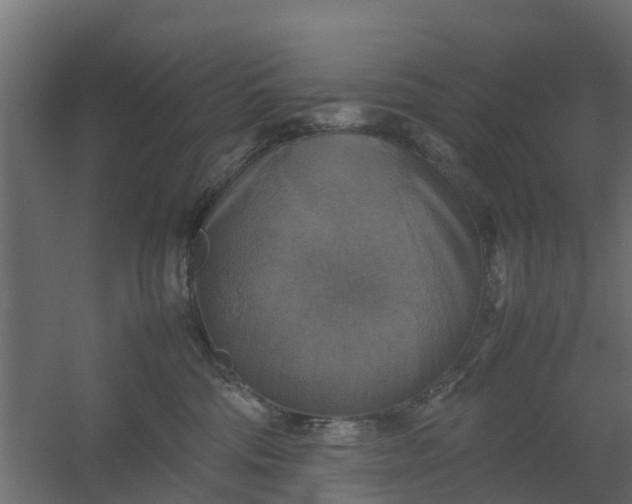X0000059780330200511041541