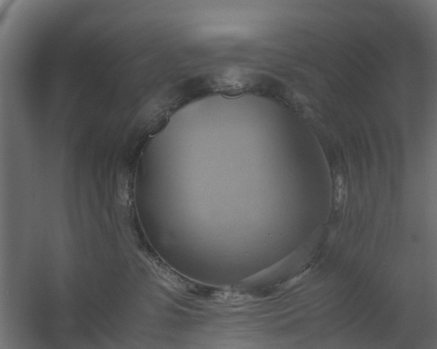X0000059780331200511041541