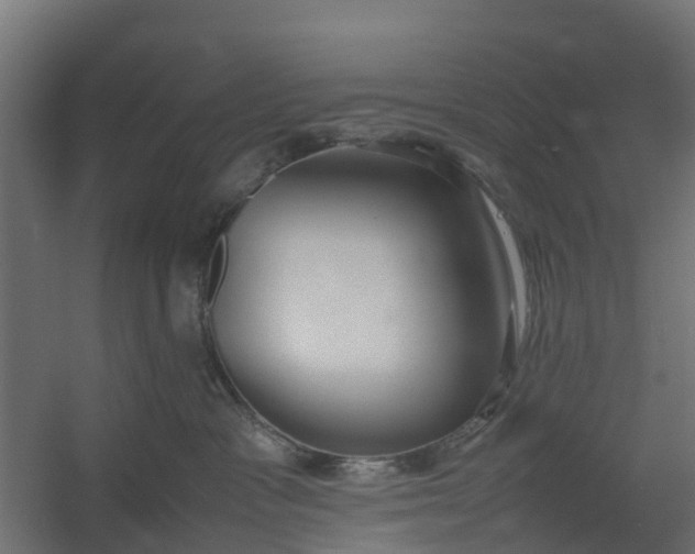 X0000059780333200511041541