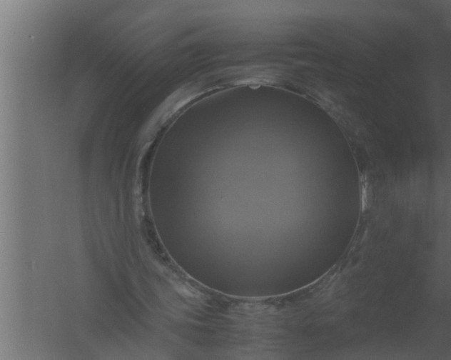 X0000059780339200511041540