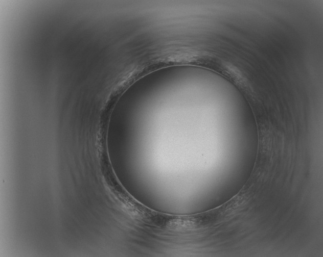 X0000059780354200511041540