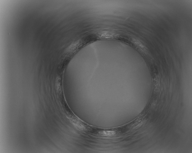 X0000059780361200511041540