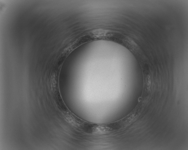 X0000059780372200511041541