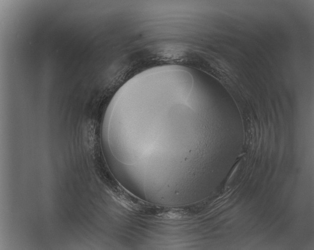 X0000059780412200511041540