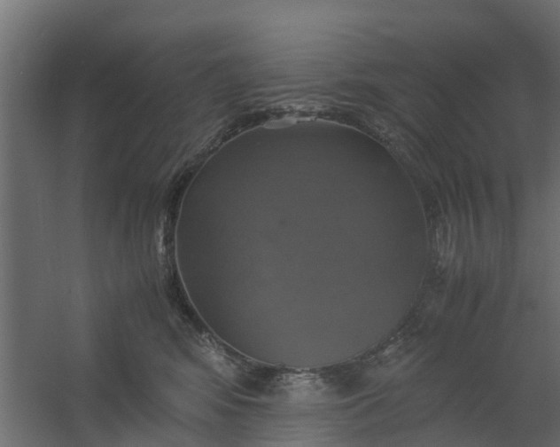 X0000059780424200511041539