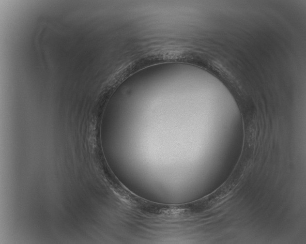 X0000059780497200511041538
