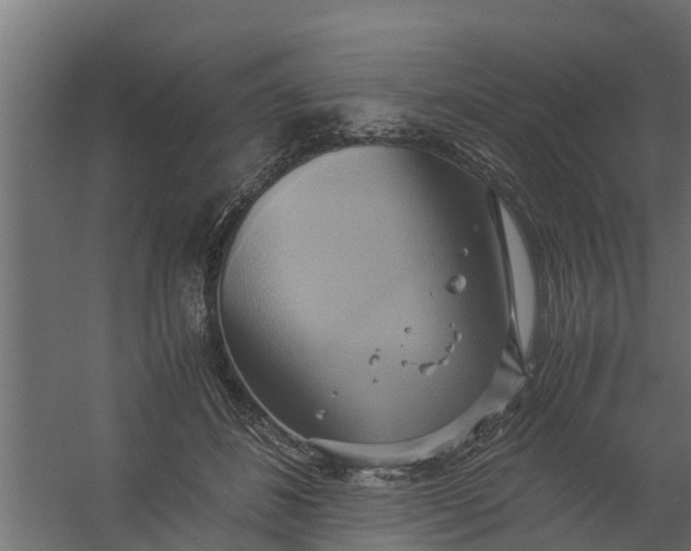 X0000059780508200511041538