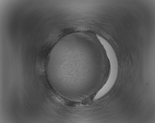 X0000059780517200511041538