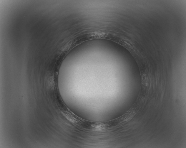 X0000059780564200511041537