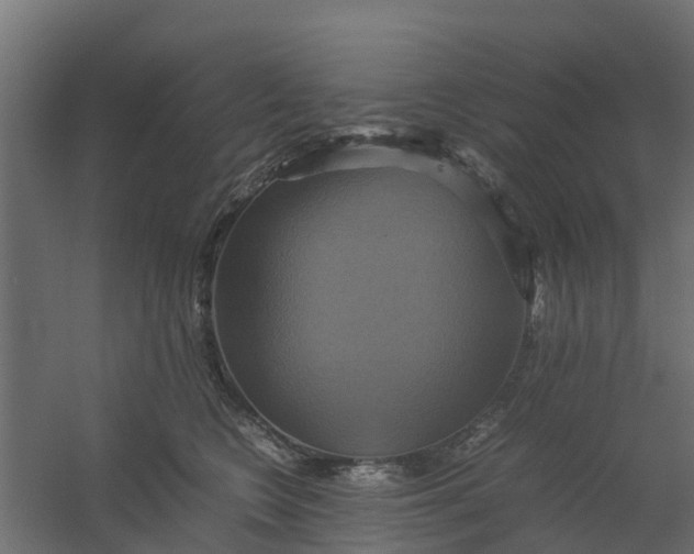 X0000059780566200511041537