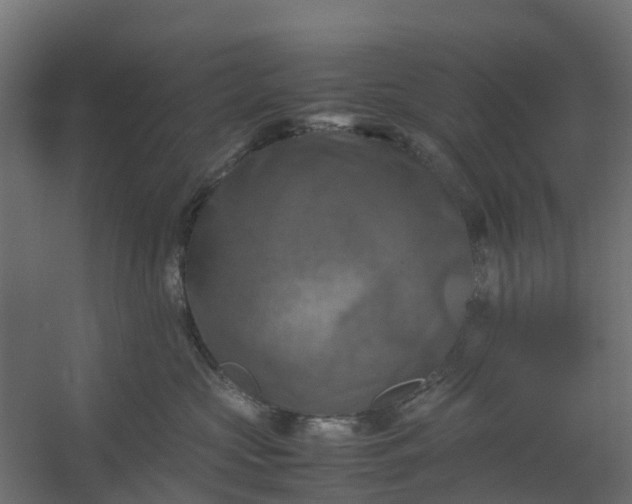 X0000059780573200511041538
