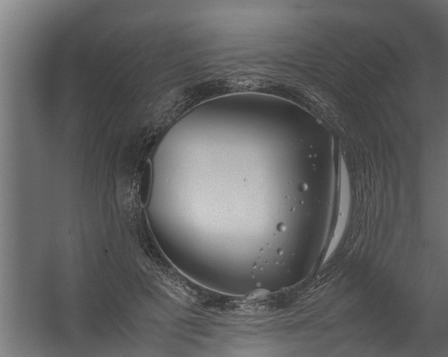X0000059780601200511041536