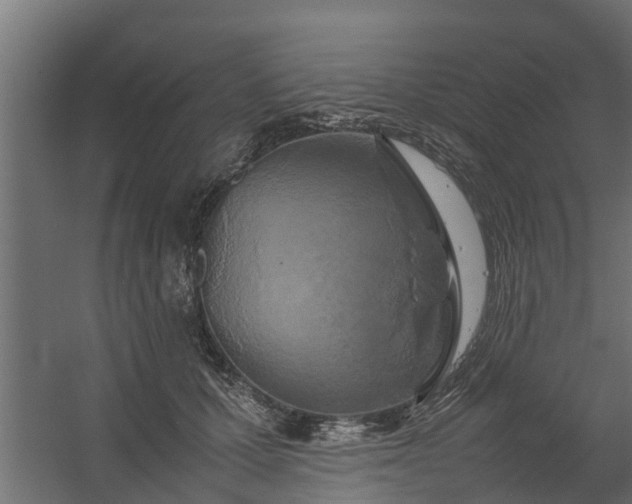 X0000059780607200511041536