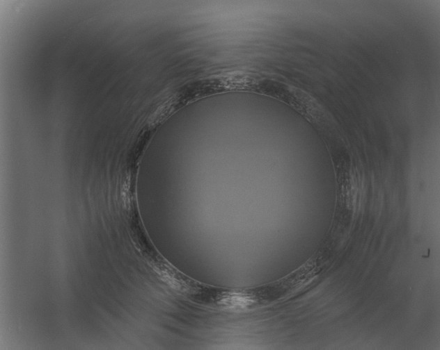 X0000059780610200511041536