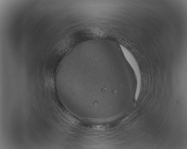 X0000059780613200511041536
