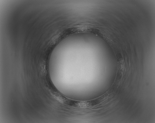 X0000059780615200511041536