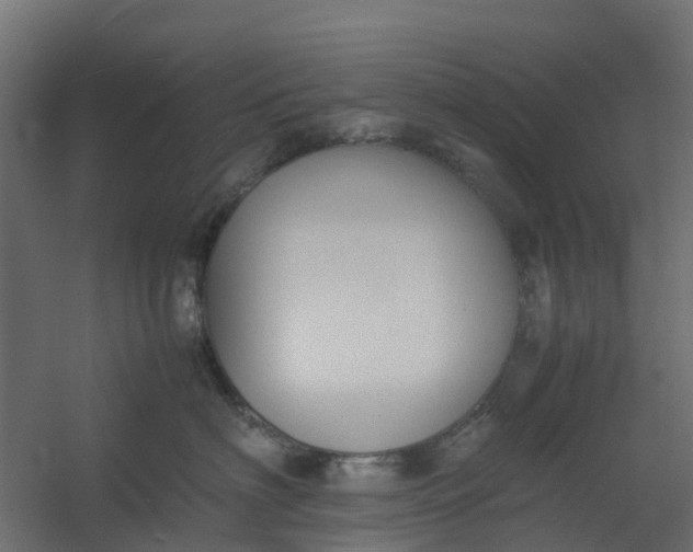 X0000059780622200511041536