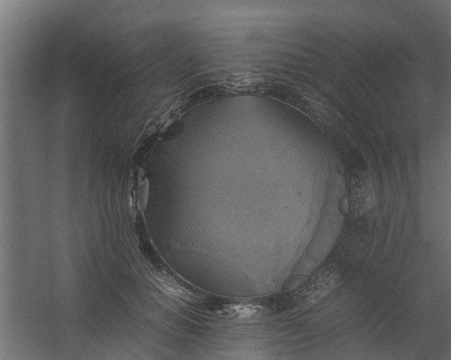 X0000059780654200511041536